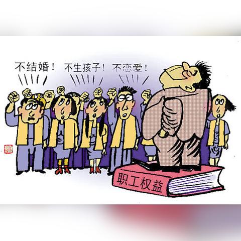 芝加哥电力价格暴跌揭秘：-227.93美元创历史新低