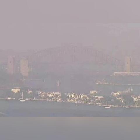 悉尼女神主演，网飞独播《高达》真人电影新进展震撼来袭！