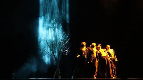 马蹄声声迎贵客，踏浪而来显尊荣