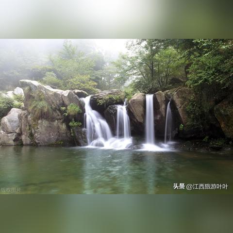 夜生活之曲下载避坑指南，为什么90%玩家都栽在这3个环节？