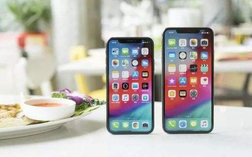 iPhone17中国热销,库克笑开颜,市场强势复苏再创新高 iPhone17中国热销,库克笑开颜,市场强势复苏再创新高