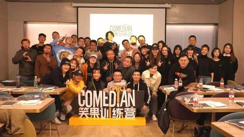 金晨无公关机会，揭秘多人联手幕后真相