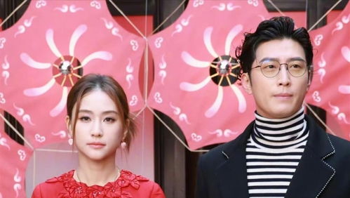 金晨无公关机会，揭秘多人联手幕后真相