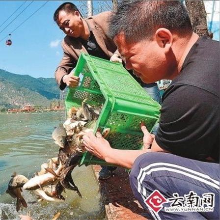 麦当劳新包装引热议：祭祀风潮来袭，创新包装引争议