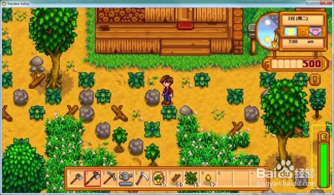 《林间小世界》打造沉浸式《星露谷物语》新体验