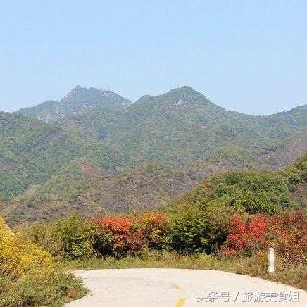 精灵龙宝宝隐藏机制全解密，为什么老玩家都在蹲凌晨3点的翡翠林地？