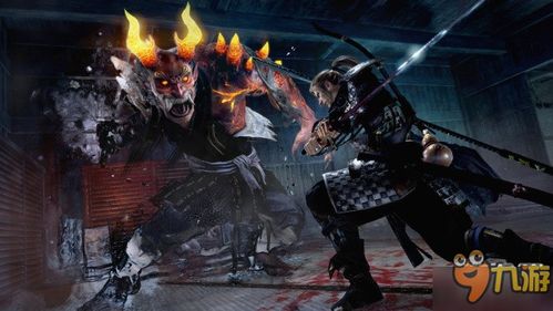 仁王3画面黑屏音无解决攻略,全新修复技巧大揭秘 仁王3画面黑屏音无解决攻略,全新修复技巧大揭秘