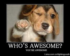 苍老师学狗萌态曝光，神秘眼镜女囧图新视角鉴赏