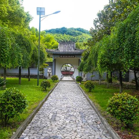 国宝私密视频再现江湖,挑战“翘的不过杠”传承新篇章 国宝私密视频再现江湖,挑战“翘的不过杠”传承新篇章