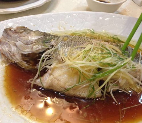 “小丑牌”变肉鸽！99%好评食堂阿姨神作《你有饼吗？》全新升级！