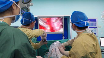 48小时奇迹：全球首例无肺男子移植新肺新生