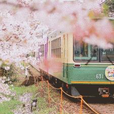 神之旅到底藏了多少没说破的秘密？老玩家用300小时实战扒开隐藏体系