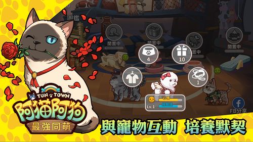 想玩阿猫阿狗却下错安装包？2026年最新官网直装版&避坑指南来了