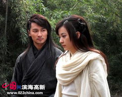 不是你菜，是流星蝴蝶剑的判定逻辑根本没按武侠剧来