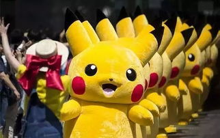 网红奇招：佛罗里达冻蜥毯子保暖新潮流