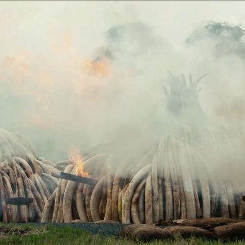 玩家心声引领，全新《英雄无敌：上古纪元》亡灵势力革新升级