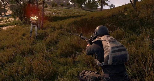 盲点战术射击新体验,PUBG俯视角吃鸡竞技盛宴 盲点战术射击新体验,PUBG俯视角吃鸡竞技盛宴