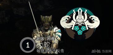 《荣耀战魂》苦命鸳鸯：揭秘“整活”背后的甜蜜秘籍