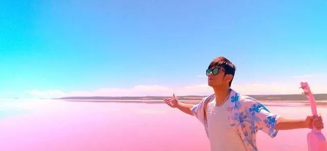 粉色海洋歌词2026实战拆解，方文山隐喻系统与周杰伦IP长效运营密码