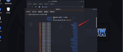 暗黑通交易系统暗藏什么门道?2026装备流通实战解密 暗黑通交易系统暗藏什么门道?2026装备流通实战解密