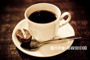 《咖啡店主理人模拟器》新游首发，体验独特经营魅力