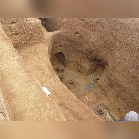 惊魂寻宝队独享！好蛋来超市开业狂欢大揭秘！