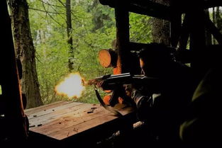 《寂静岭：Townfall》开发秘境，全新价值揭秘速览！