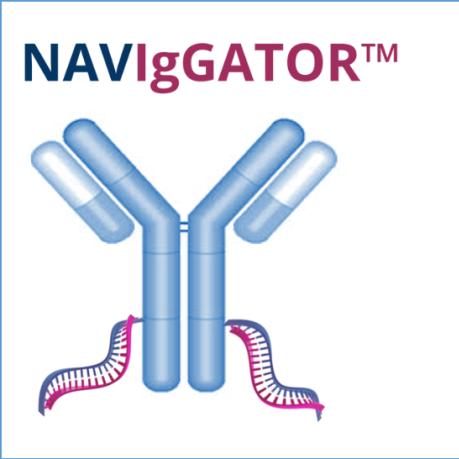 ARC新锐崛起，游戏大获成功续写传奇
