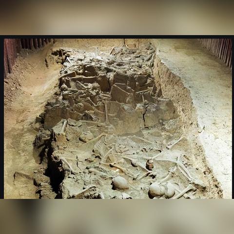 《恐惧幻觉》今春主机版惊艳来袭,好评如潮开放世界RPG再创新高 《恐惧幻觉》今春主机版惊艳来袭,好评如潮开放世界RPG再创新高