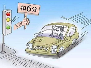 金晨肇事逃逸罚款1500元，深度解析处罚内幕