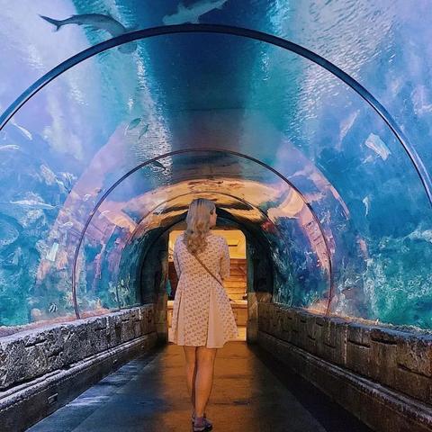 《红色沙漠》与《老头环》共舞:探寻游戏世界中的独特魅力 《红色沙漠》与《老头环》共舞:探寻游戏世界中的独特魅力