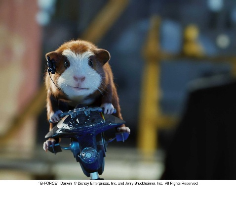 豚鼠特工队通关率仅23%?硬核玩家揭秘5个破局关键与2024隐藏要素全解析 豚鼠特工队通关率仅23%?硬核玩家揭秘5个破局关键与2024隐藏要素全解析