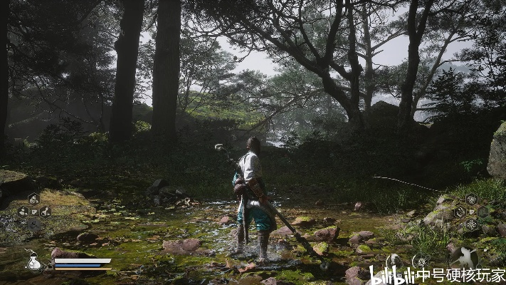 黑神话，悟空4060实测，终极画质优化方案解决掉帧卡顿