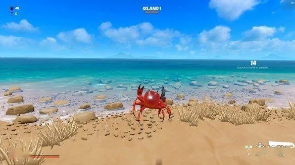 蟹岛螃蟹刷新机制揭秘，3条高效率采集路线实测对比