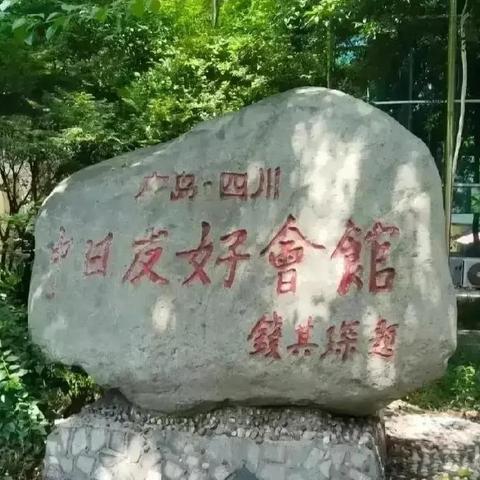 罪恶都市秘籍绝密代码2024新版，隐藏载具与无敌状态实战解析