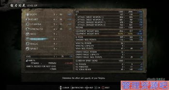 《仁王3》画面调优攻略：解锁极致视觉体验秘籍