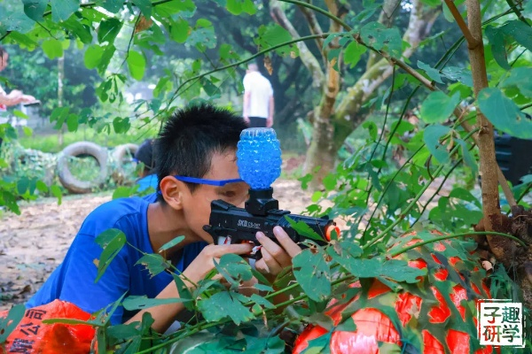 畅游森灵旅社,体验种菜砍树新乐趣! 畅游森灵旅社,体验种菜砍树新乐趣!