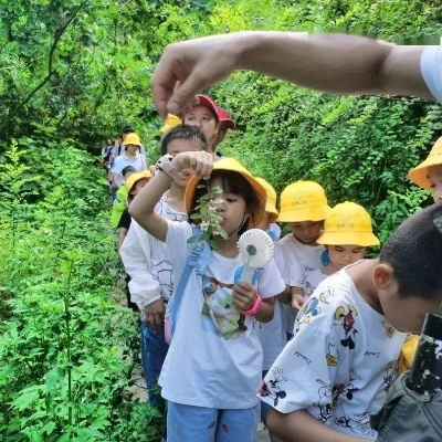 畅游森灵旅社,体验种菜砍树新乐趣! 畅游森灵旅社,体验种菜砍树新乐趣!