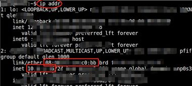 终端命令强制原生运行