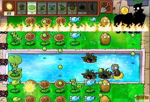 植物大战僵尸3终极通关秘籍，7个被低估的植物组合