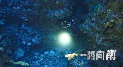 蓝洞力作《Project Windless》奇幻启航，揭秘韩版巫师新篇章！