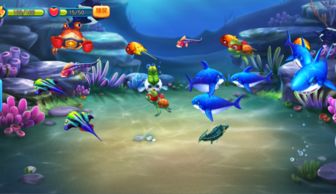 鱼都游戏版本2.3，高玩不愿透露的鱼类繁殖黄金法则