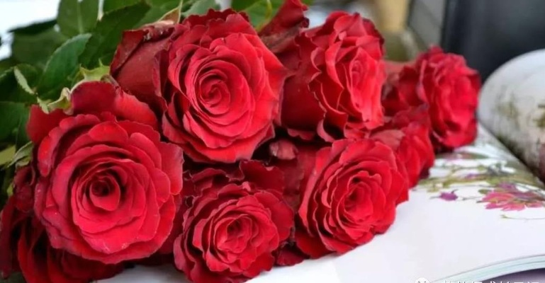 情人节玫瑰怎么选才不翻车？2025最新8大爆款类型+冷门绝杀攻略