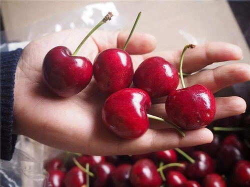 智利车厘子下架真相：胖东来严选品质，品质升级新体验