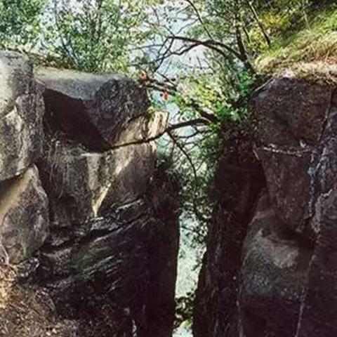 真三录像文件太大？2025年最新无损压缩与云端管理实战方案