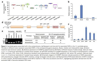 RYL类型的基因密码,不是怀旧,是机制稀缺 RYL类型的基因密码,不是怀旧,是机制稀缺