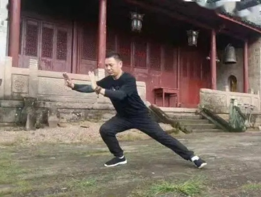 2025金针沈家武学全解析，从入门到精通的3大核心命脉与7个实战误区