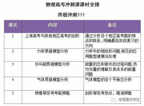 火猫出装2025终极指南，物理魔法双流派实战决策链全解析