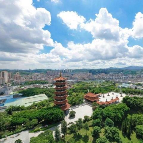 2025番薯杯冲分全攻略，从菜鸟到冠军的实战秘籍