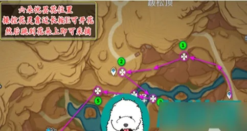 须弥「忧昙花」速刷全攻略，3.6新特产采集路线+刷新机制深度解析